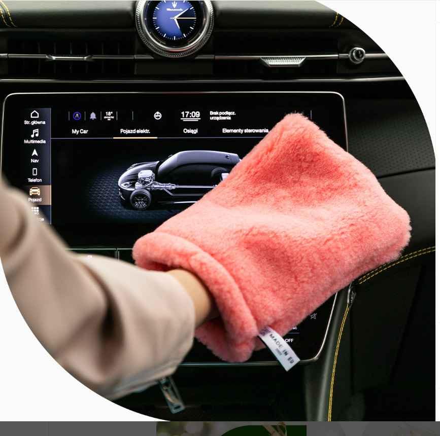 BRAIDER RAYPATH Anti-Static Dusting Glove Pink M, 15 x 22 cm, Eco Cloth with Nanosilver, CHEMICAL-FREE, Wipe, Cleaning Cloth, Non-Microfibe, Vegan Friendly
