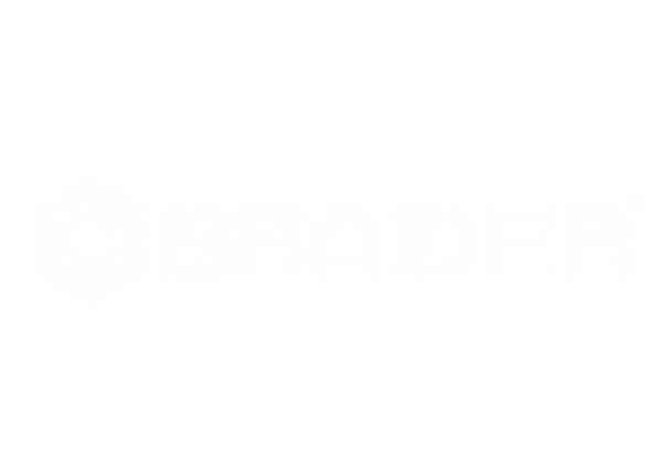 BRAIDER GROUP LTD